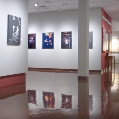 Jacksonville art gallery